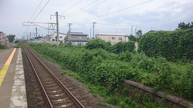 島式ホーム